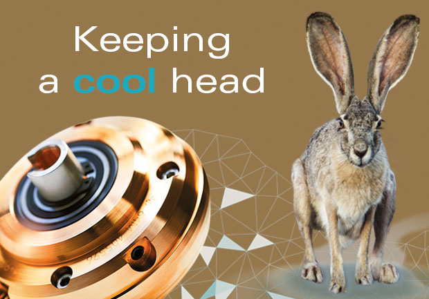 Keeping a cool head